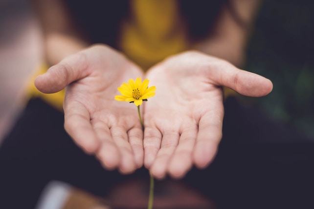 zwei Hände halten eine kleine gelbe Blume - die kleinen Dinge im Leben