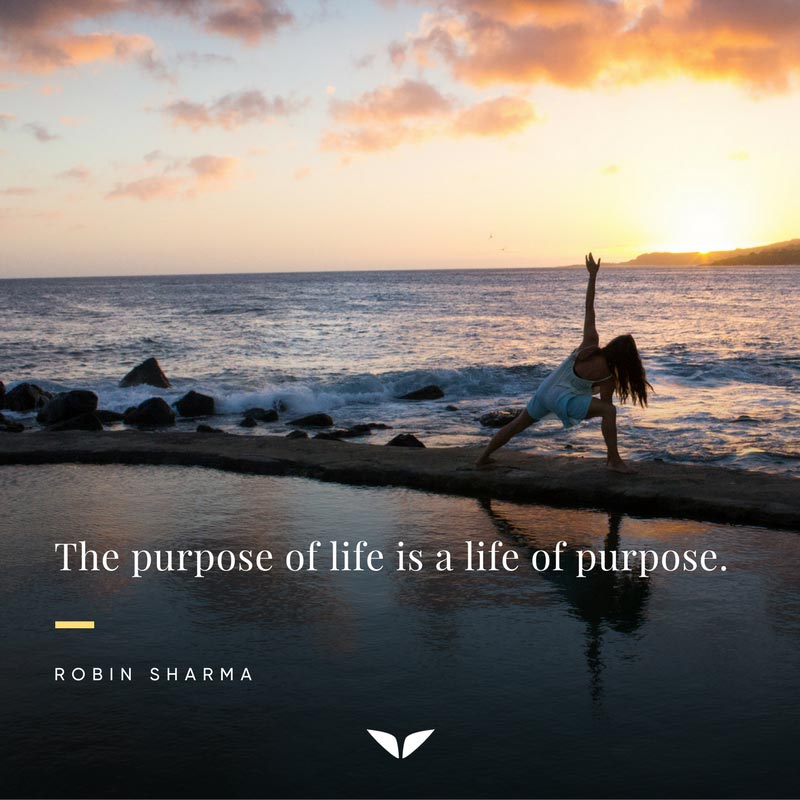 The purpose of life is a life of purpose quote by Robin Sharma