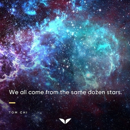 We all come from the same dozen stars - Tom Chi