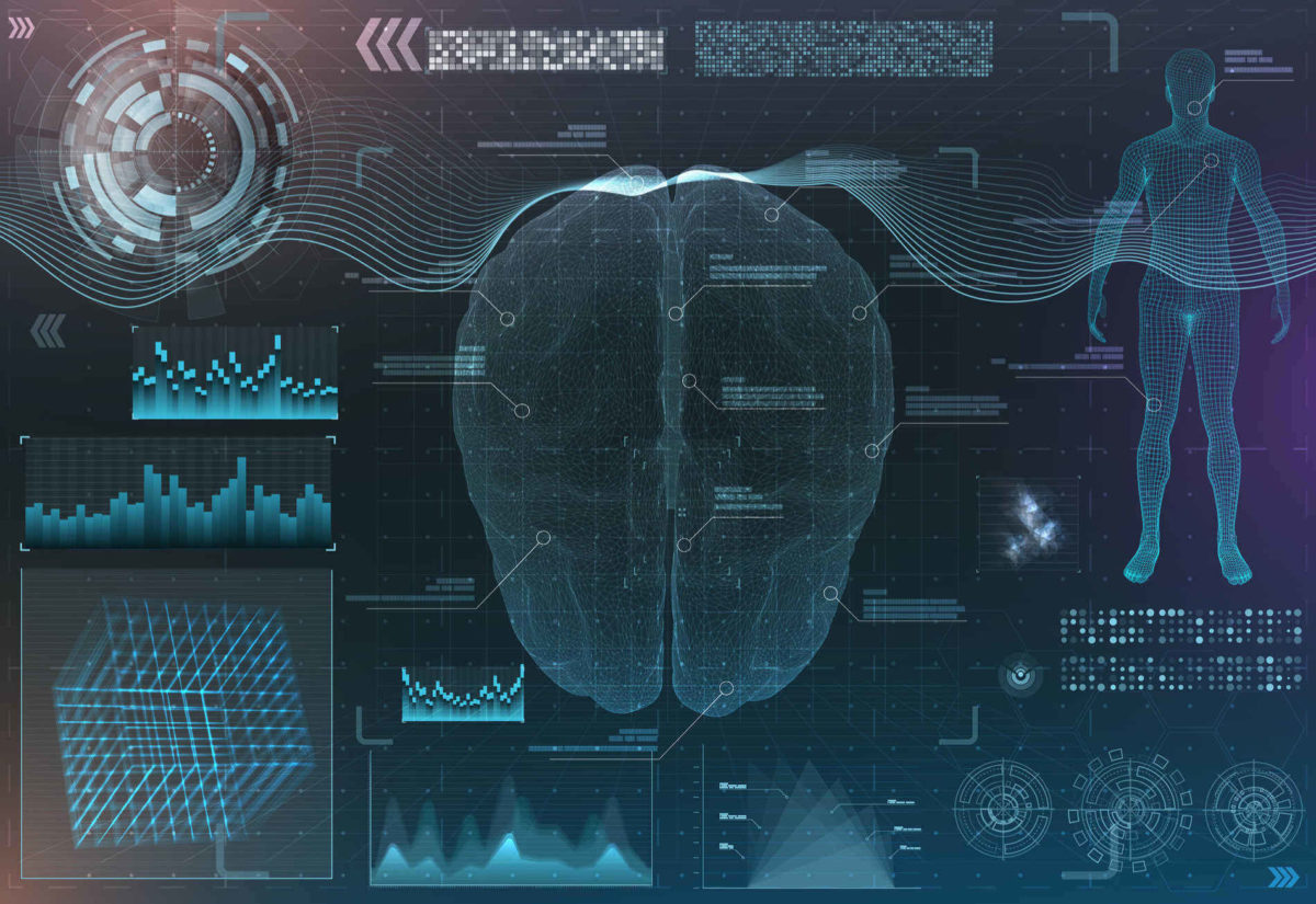 Diferencia entre cerebro y cerebelo