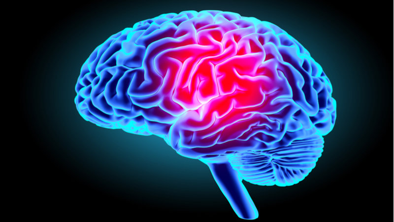 location of cerebral hemisphere