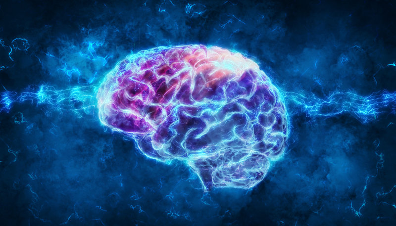 wisdom vs intelligence