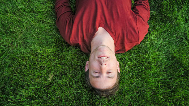 What is the ego good for?
