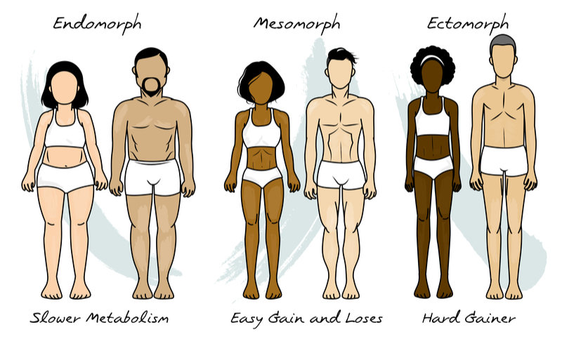 endomorph body shapes real people