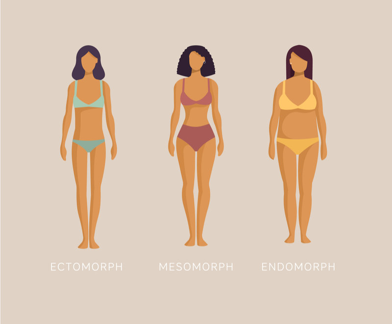 How To Maximize Potential Of A Mesomorphic Body Type ...