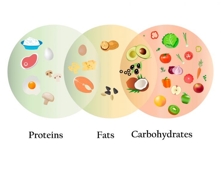 Endomorph Diet 101: Top Superfoods To Boost Your Nutrition - Mindvalley ...