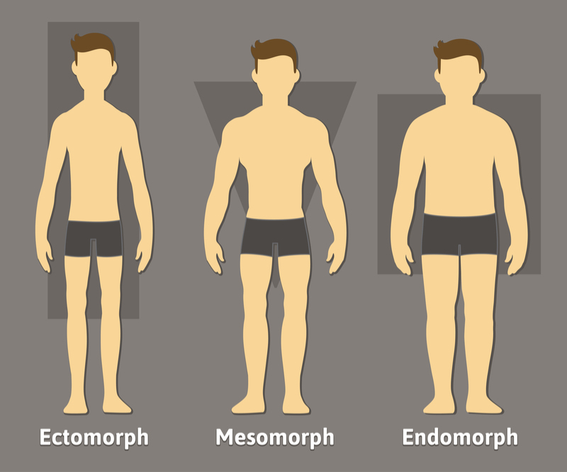 Cómo Ponerse En Forma Como Endomorfo Masculino Mindvalley Blog Nunzia Esposito