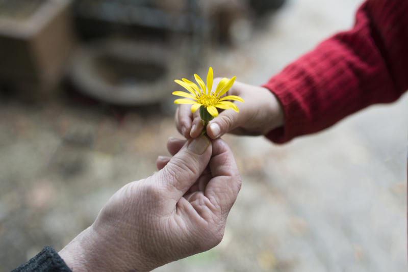 what-is-compassion-looking-beyond-yourself-for-a-better-world