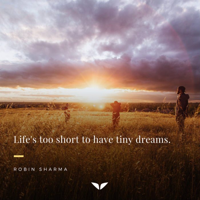 Tiny Dreams Robin Sharma Inspirational Quotes