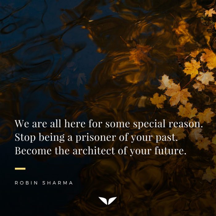 Your Future Robin Sharma Inspirational Quotes