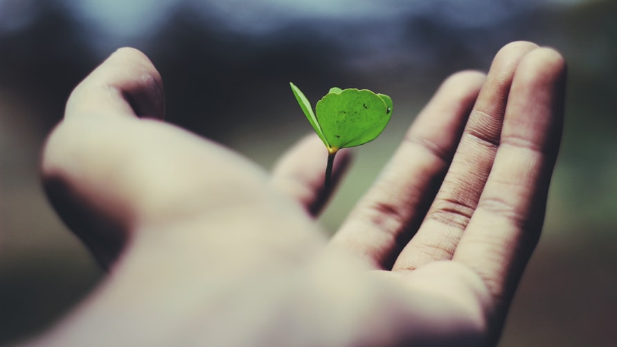 Why Discovering Peace First Permits The entirety Else to Fall Into Position