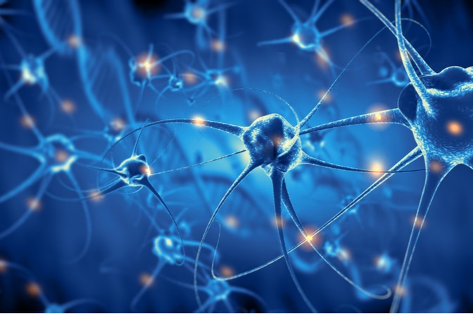 Neurogenesis