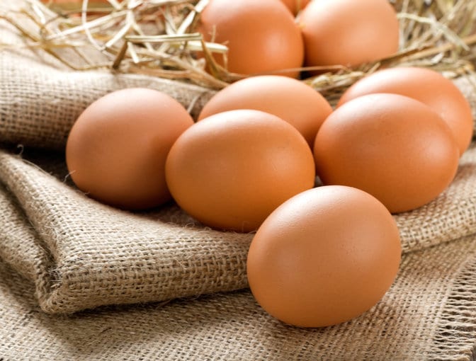 Eggs Eggs