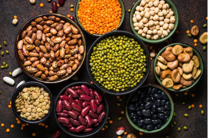 Legumes Legumes