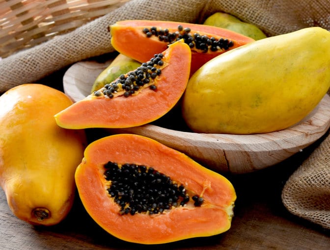 Papaya Papaya