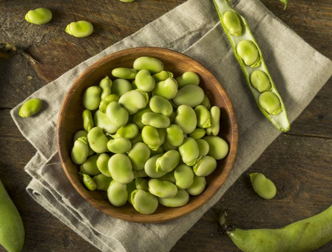 Fava beans Vegetables high in protein: Fava beans